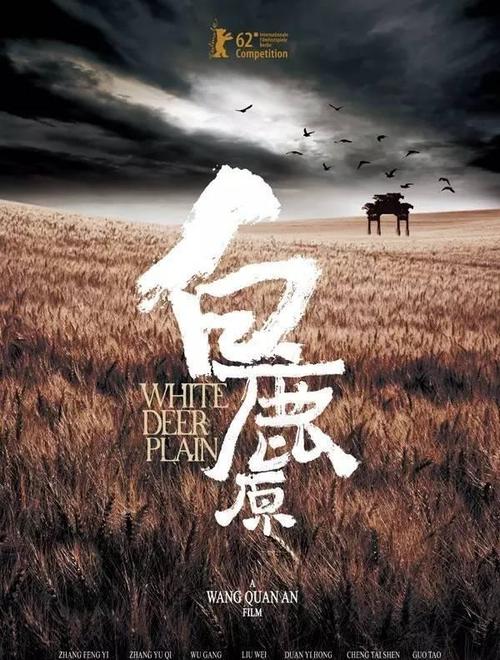 高中毕业证号在哪查